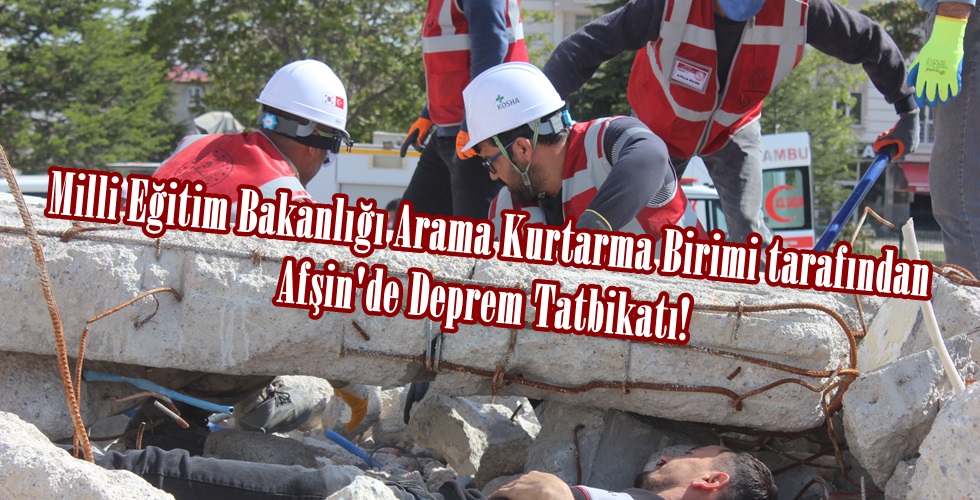 IMG_4439yı