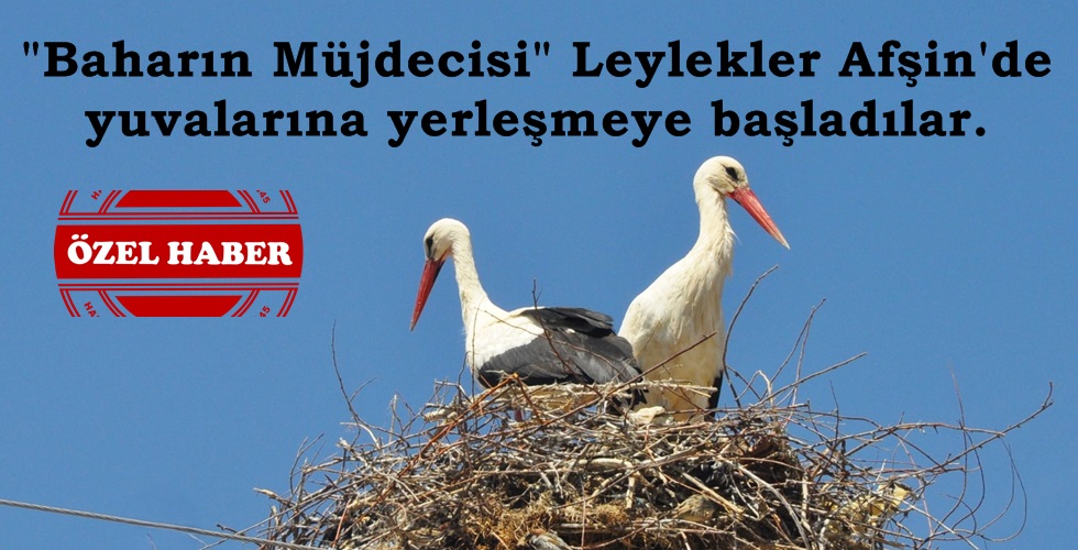 WhatsApp Image 2024-05-05 at 14.29.40yı