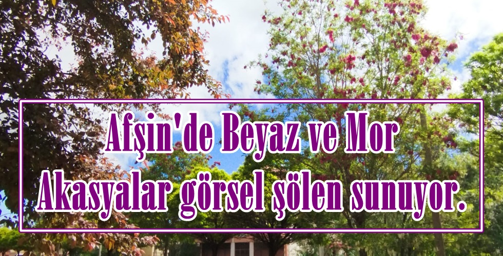 WhatsApp Image 2024-05-07 at 10.33.59yı
