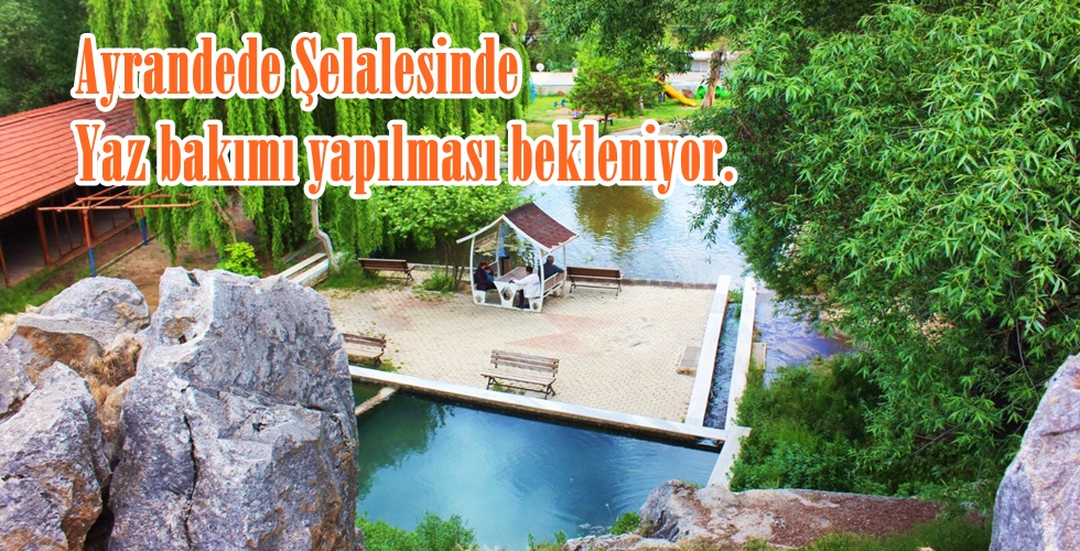 WhatsApp Image 2024-05-16 at 13.35.25 (1)tu