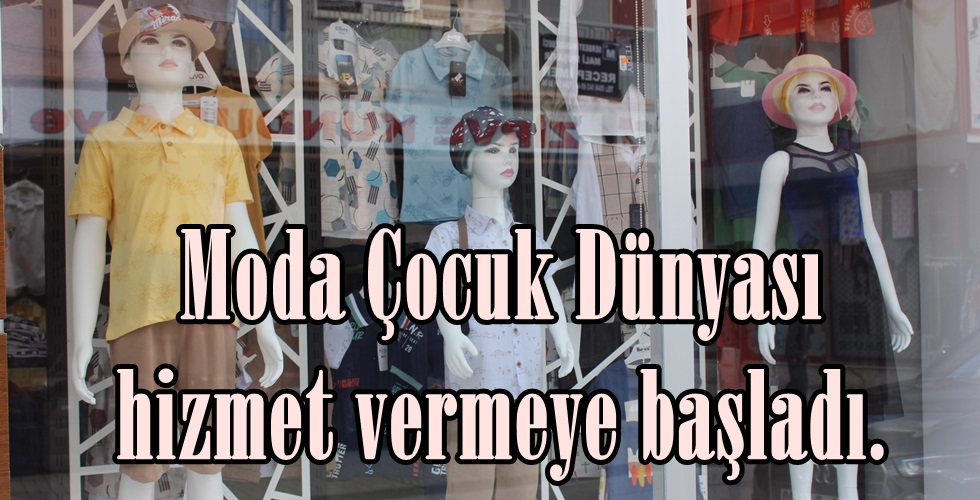 IMG_6928yı