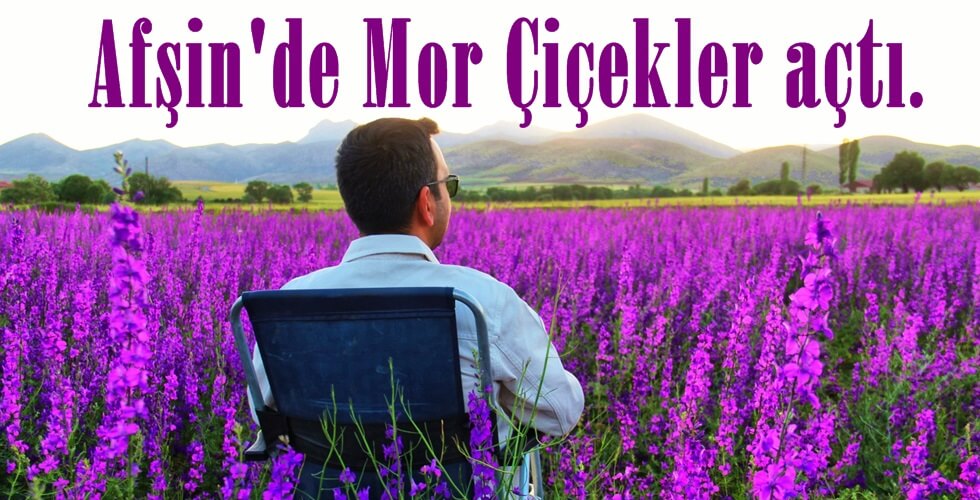 WhatsApp Image 2024-05-31 at 14.25.48 (5)uı
