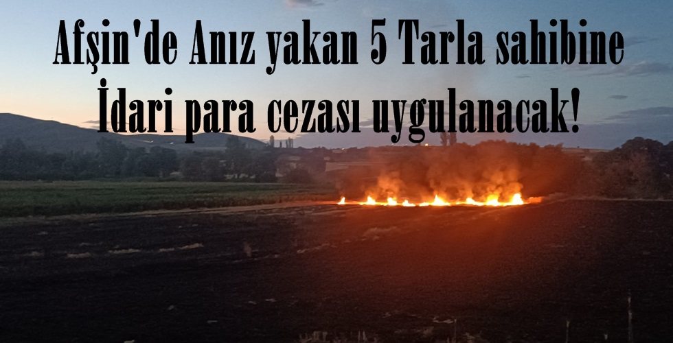 WhatsApp Image 2024-07-21 at 19.12.46Uhı