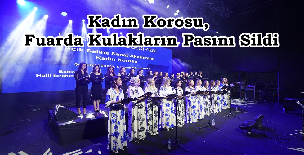 Müzik Dinletisi (3)uı