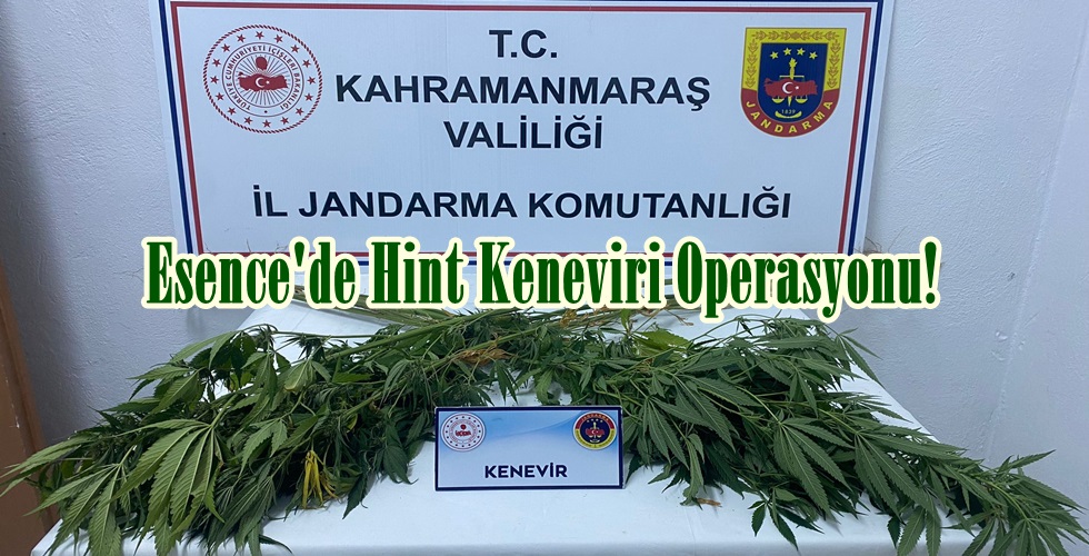 WhatsApp Image 2024-08-20 at 09.52.54yı