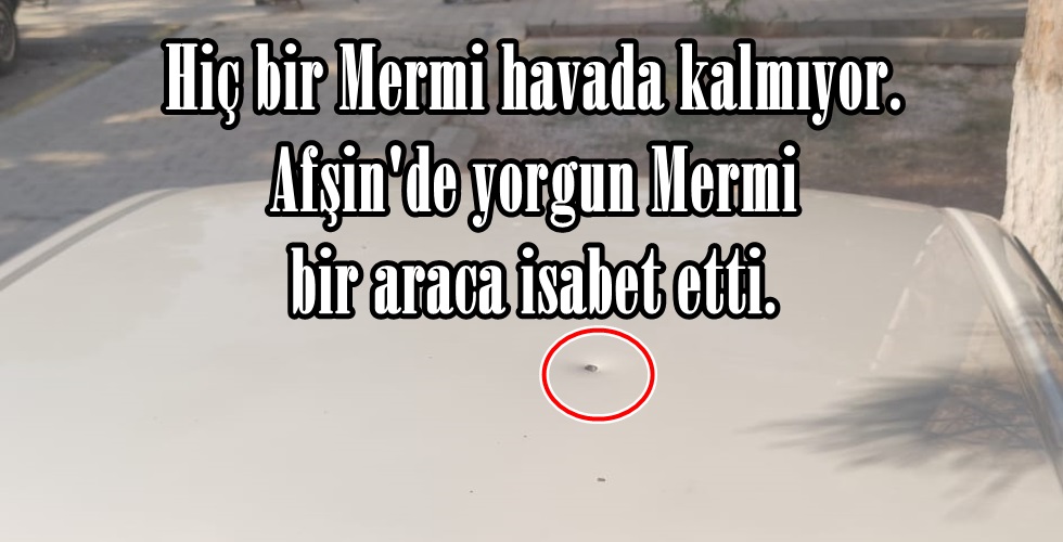 WhatsApp Image 2024-08-21 at 16.48.28 (1)yuı