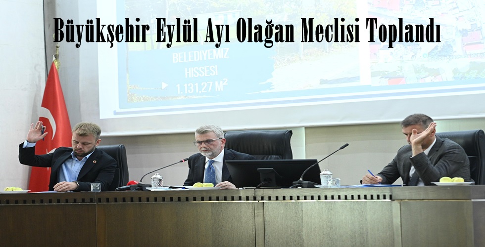 Toplantı (3)y