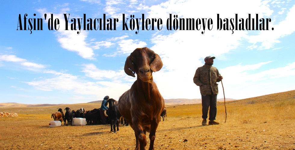 WhatsApp Image 2024-10-21 at 13.38.41 (9)7ı9