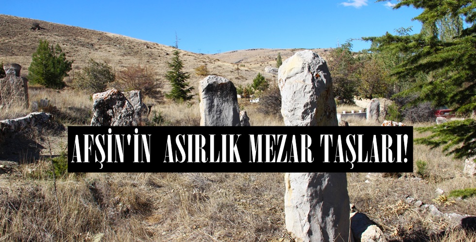 WhatsApp Image 2024-10-28 at 11.35.54 (3)rtı
