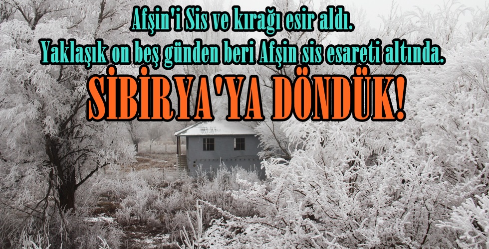 WhatsApp Image 2024-12-21 at 13.36.57 (1)YHI