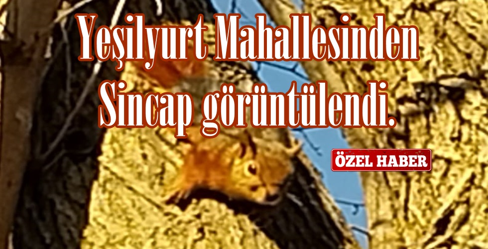 WhatsApp Image 2024-12-28 at 20.25.20ıo