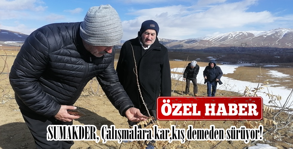 IMG_20250119_133316ıoyı
