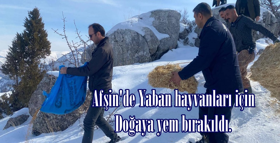 480502602_3902186123362978_7256168303473528407_nhkjı