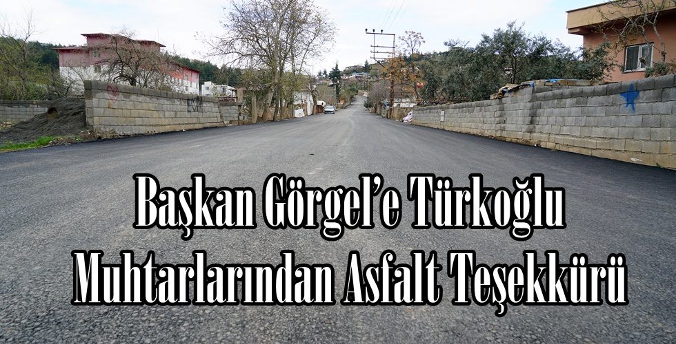 Detay (1)NBGT