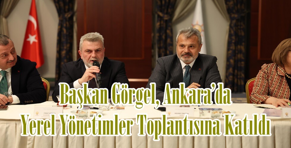 1yı