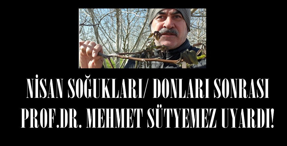 siyah-renkyuı
