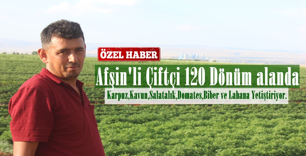 IMG_0220ıop