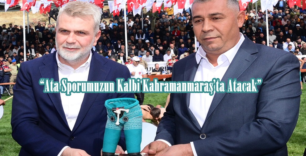 Güreş (3)IP