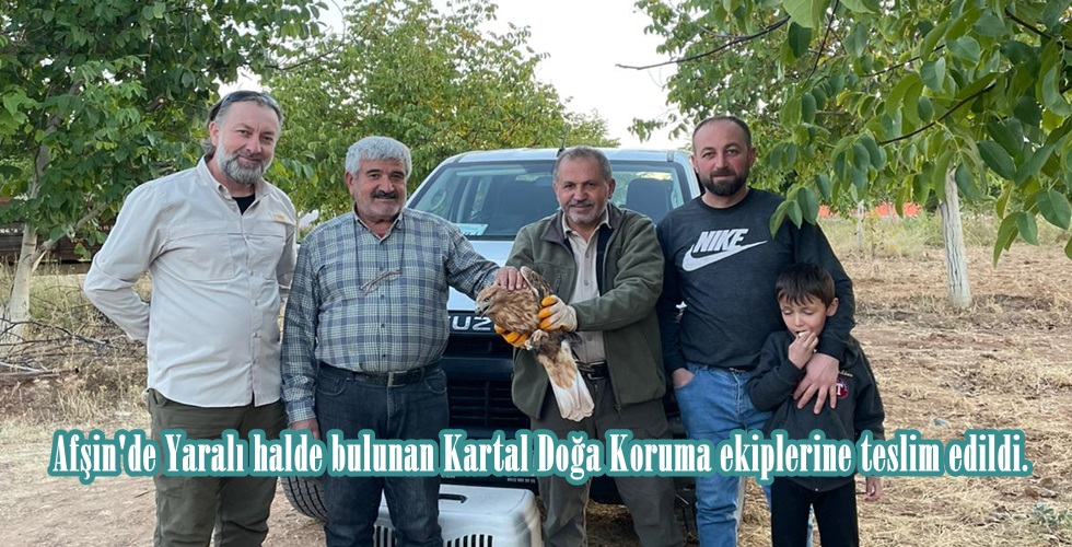 WhatsApp Image 2025-10-14 at 18.45.54 (2)ıo