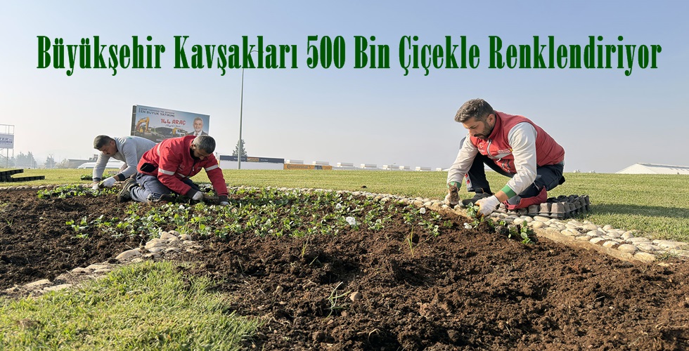 Madalyalı Kavşak (5)IP