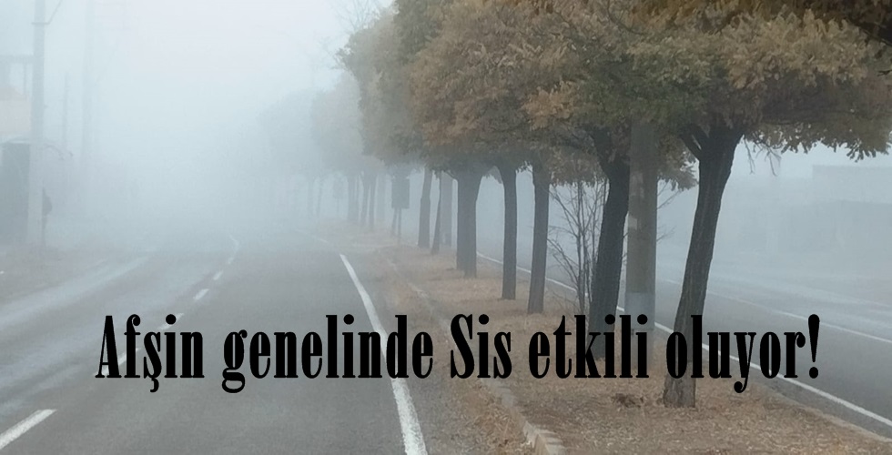 WhatsApp Image 2025-11-20 at 07.51.20OP