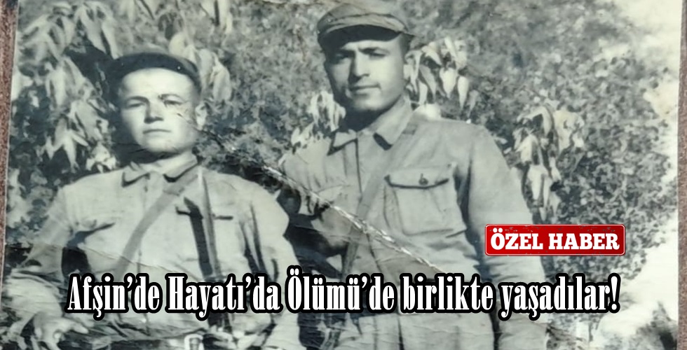 WhatsApp Image 2026-01-14 at 16.22.01uı