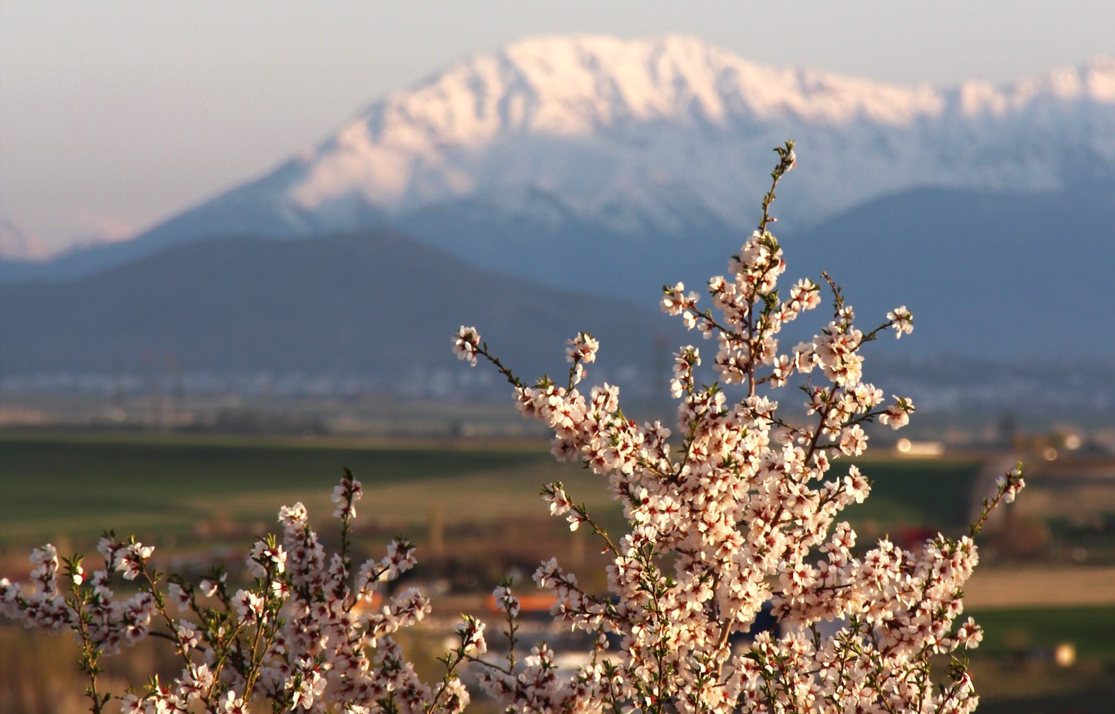 Afşin Bademlerinin Berit Dağı silüetli görüntüsü büyüledi.