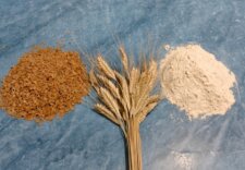 uo